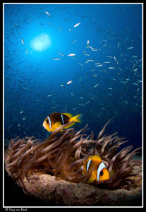 Deep down on the Rosalie Moller. by Dray Van Beeck 